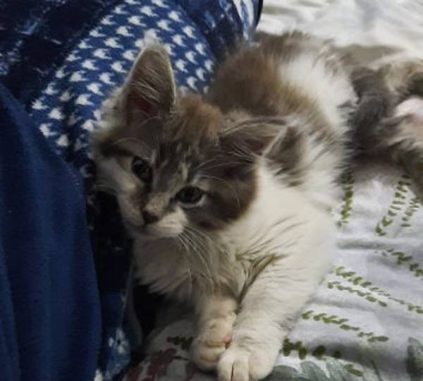 Luna