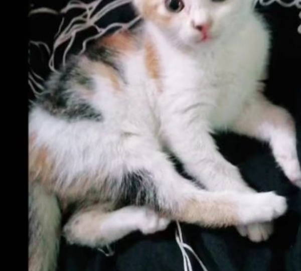 Luka