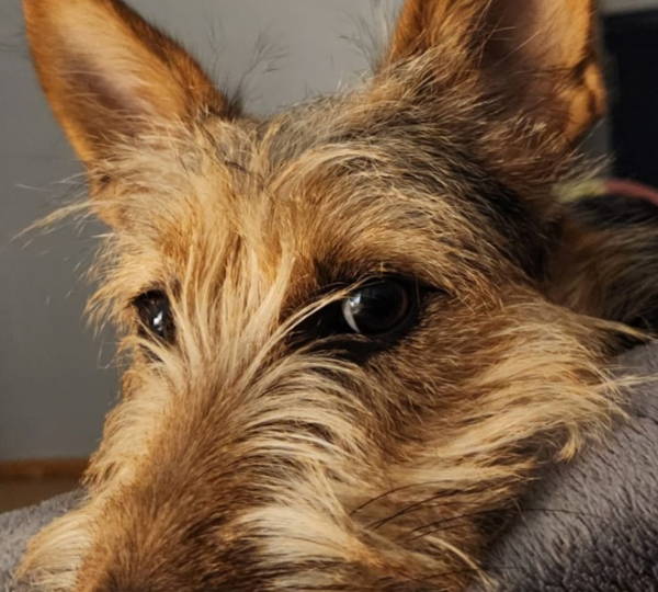Zoe