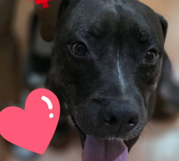 Zak