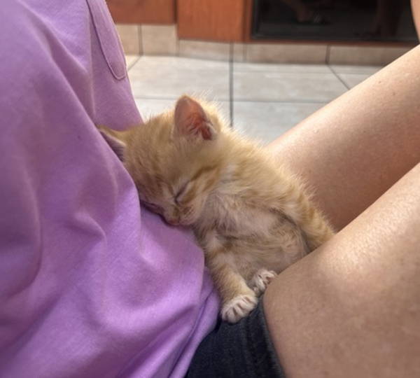 Coco & Mango