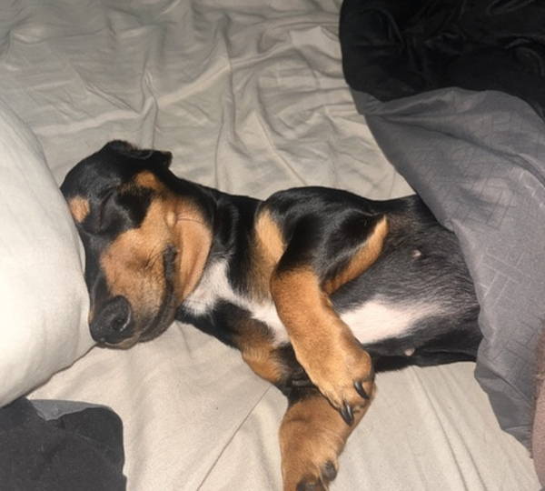 Luna