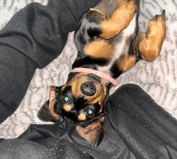 Luna