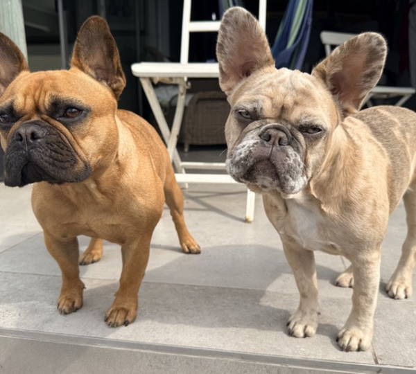 Molly & Gracie