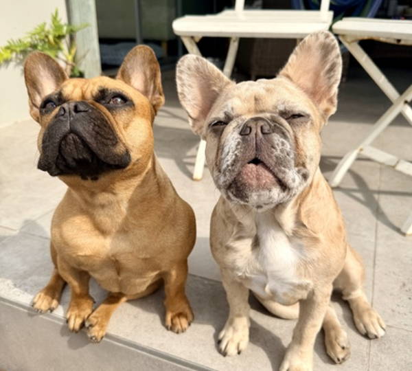 Molly & Gracie