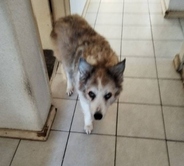 Maggie