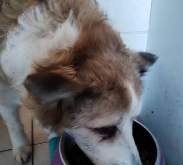 Maggie