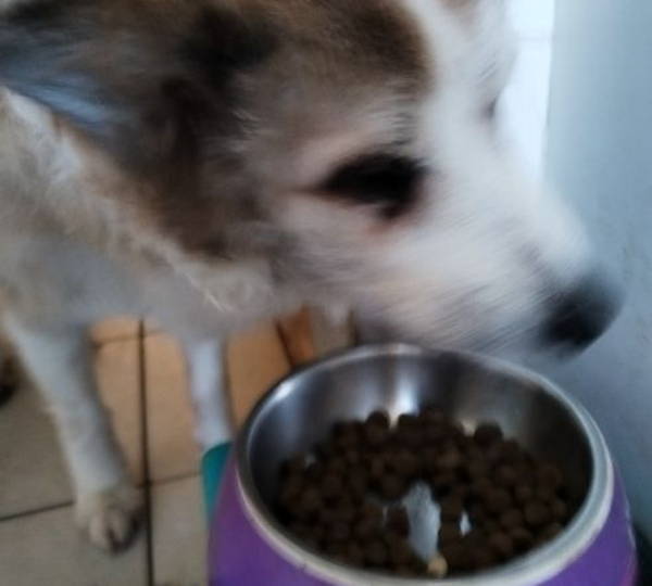Maggie