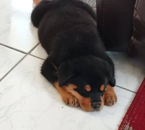 Titan