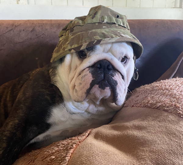 Tank