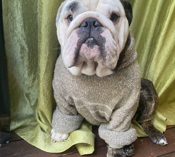 Tank