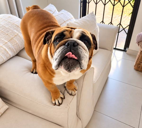 Bailey