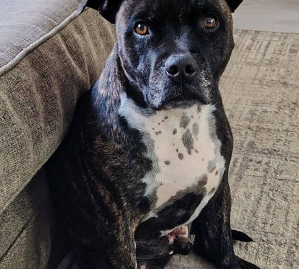 Ben