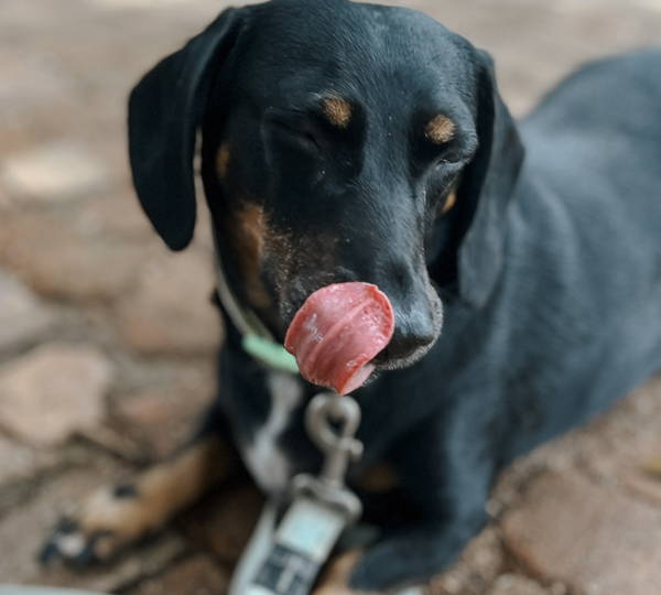 Charlie