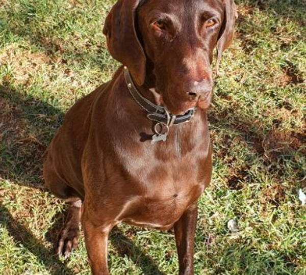 Jake