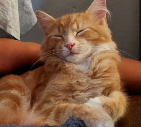Astro
