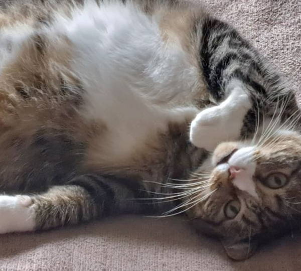 Luna