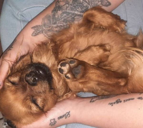 Luna