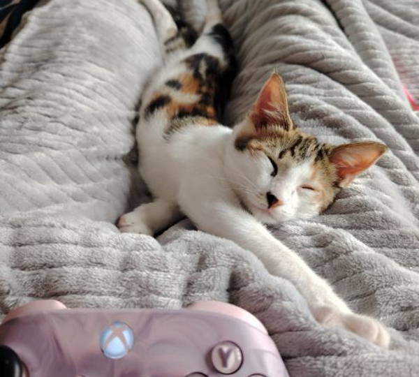 Jinx