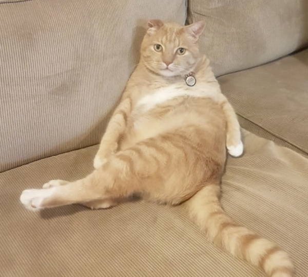 Fat Luie