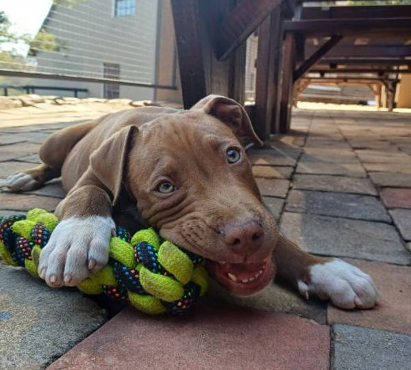 Odin