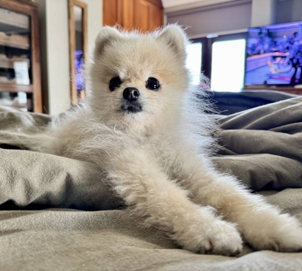 Khloë