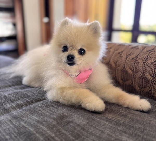 Khloë