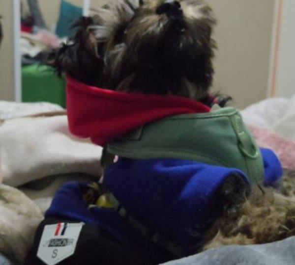 Milo