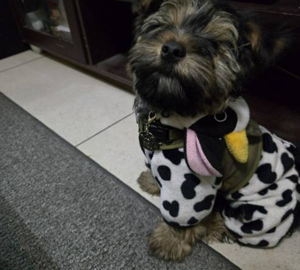 Milo