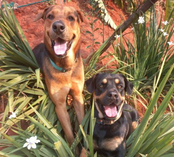 Boston & Brock