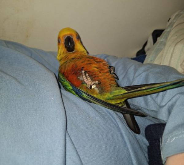 Rio