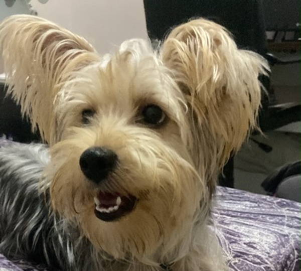 Coco