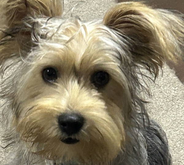 Coco
