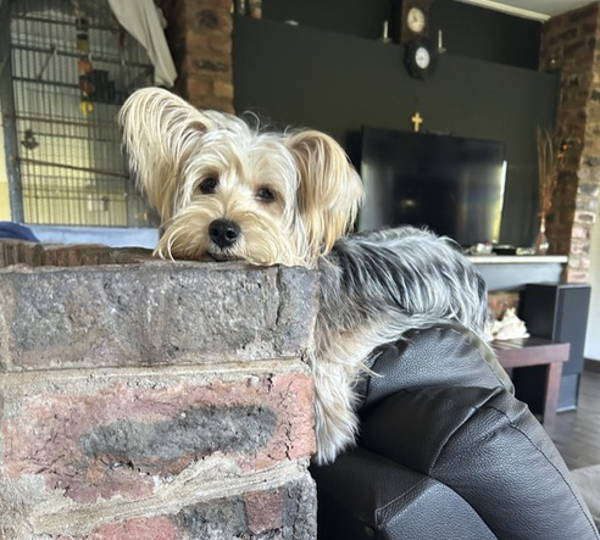 Coco