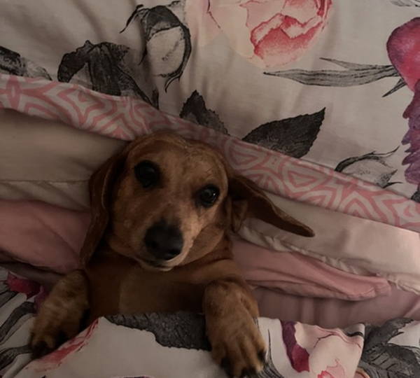 Suzi