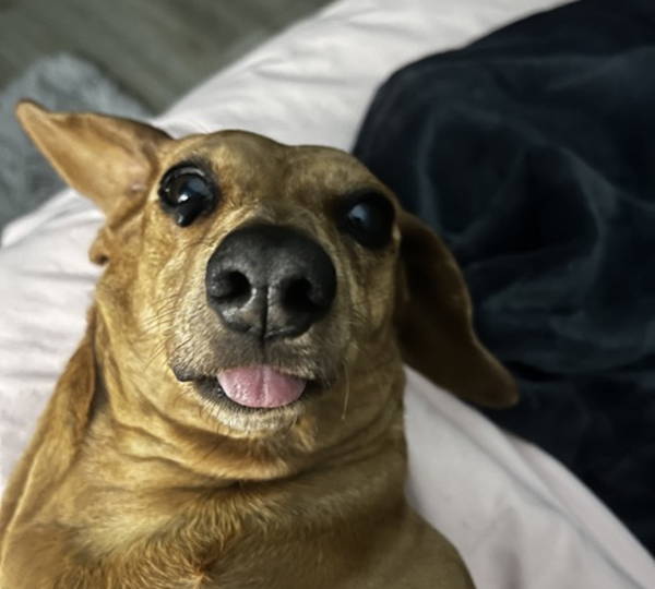 Suzi