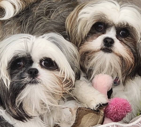 Ellie & Livvy