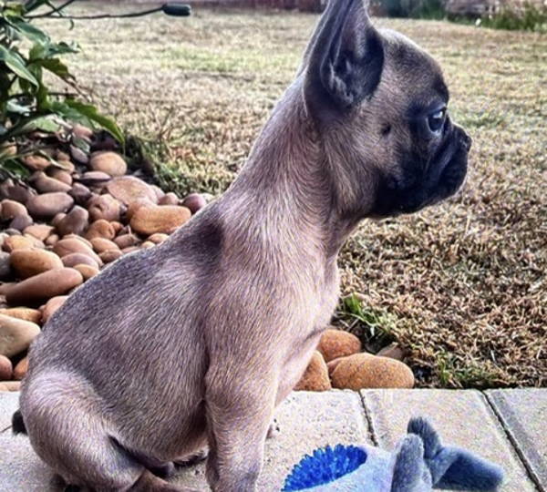 Oakley
