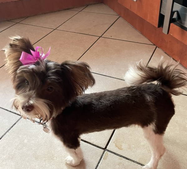 Coco