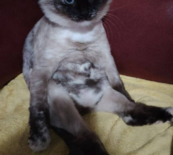 Chloe