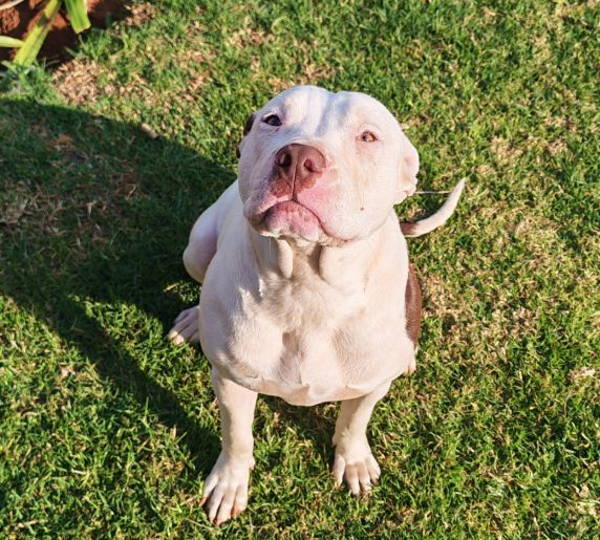 Luna