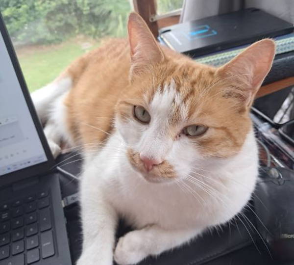 Archie