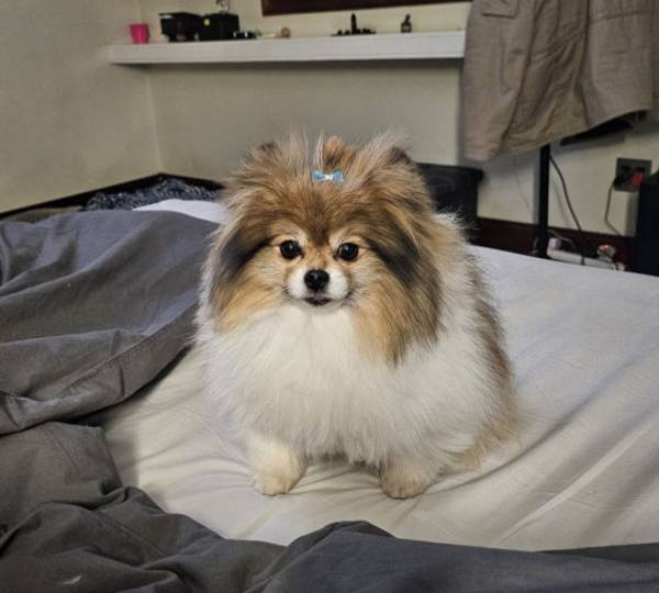 Coco