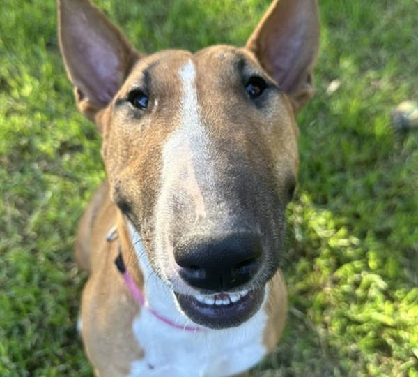 Luna