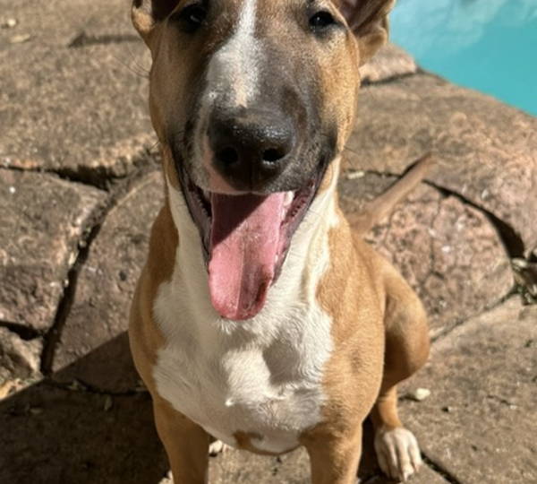 Luna