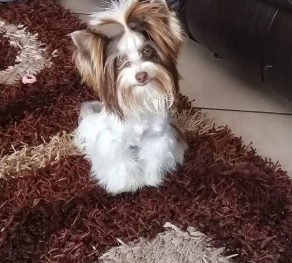 Missy