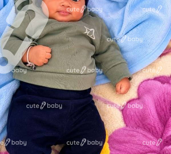 Theo