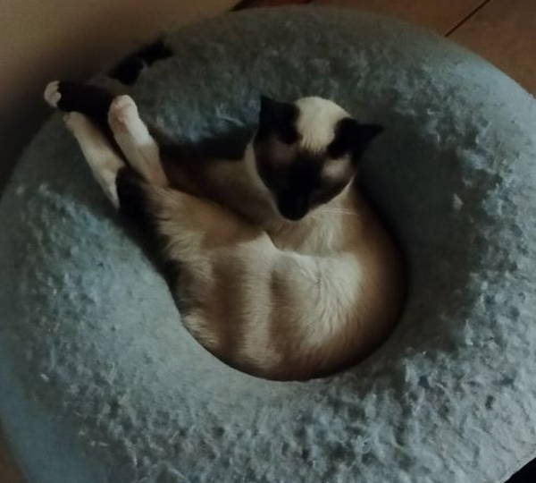 Nala