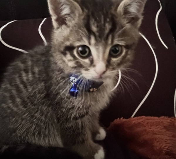 Oliver