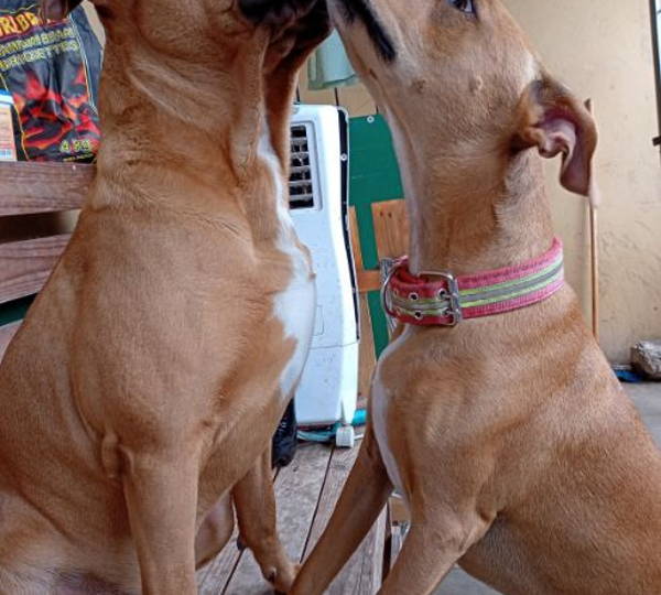Tyson & Jessie